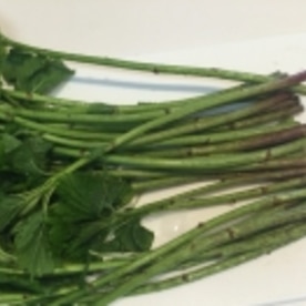 絶品山菜 アイコ ミヤマイラクサ のおひたし レシピ 作り方 By アボカドプリン 楽天レシピ 絶品山菜 アイコ ミヤマイラクサ のおひたし レシピ 作り方 By アボカドプリン 楽天レシピ